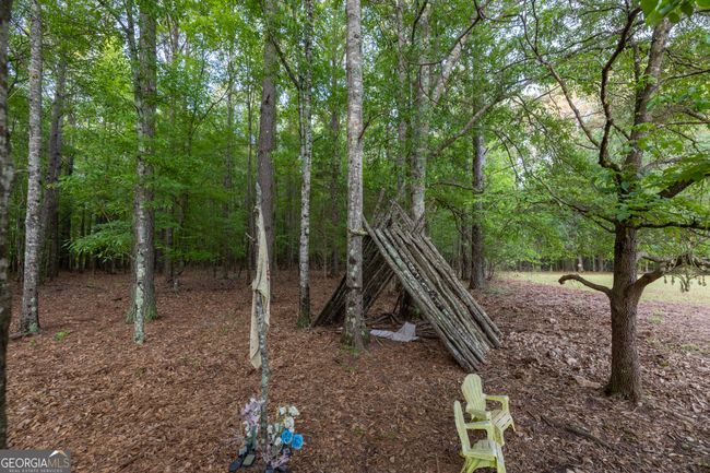 1776 Terrell Rd, House other with 4 bedrooms, 3 bathrooms and null parking in greenville GA | Image 36