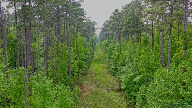 000 Fm 1794 E, Home with 0 bedrooms, 0 bathrooms and null parking in De Berry TX | Image 5