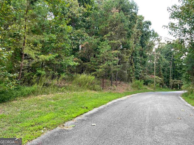 0 Peach Orchard Dr, Home with 0 bedrooms, 0 bathrooms and null parking in Alto GA | Image 12
