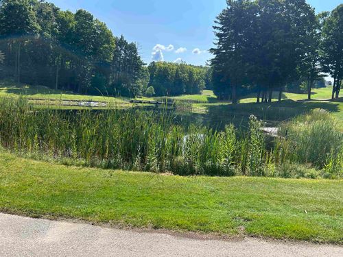 Lot 48 Sparrow Hawk Dr, Bellaire, MI, 49615 | Card Image