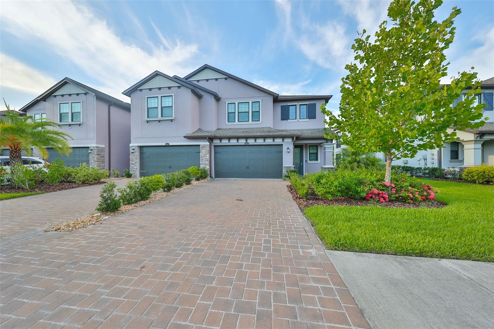 San Martino Dr, Wesley Chapel, FL 33543