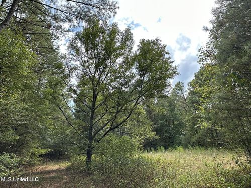4884 Highway 13 N, Morton, MS, 39117 | Card Image