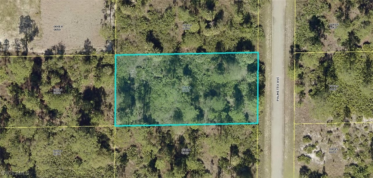 Land in Lehigh Acres