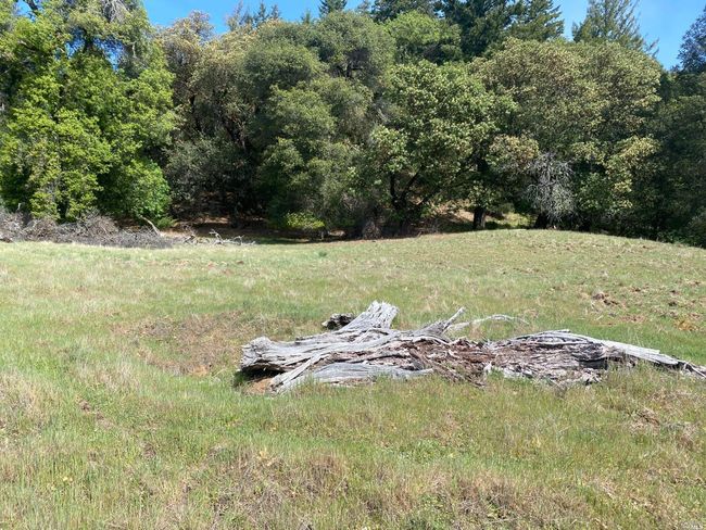 19010 Hulbert Rd, Home with 0 bedrooms, 0 bathrooms and null parking in Yorkville CA | Image 15
