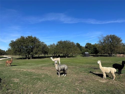 4081 Fm 2736, Campbell, TX, 75422-1219 | Card Image