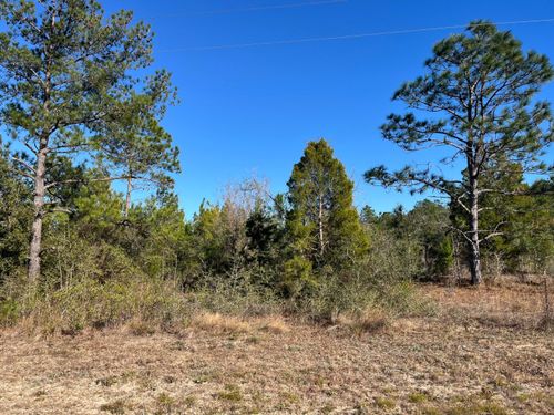 Tbd Fairview Rd, Marianna, FL, 32448 | Card Image