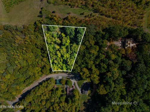 319 Muscadine Ct, Sevierville, TN, 37876-3607 | Card Image