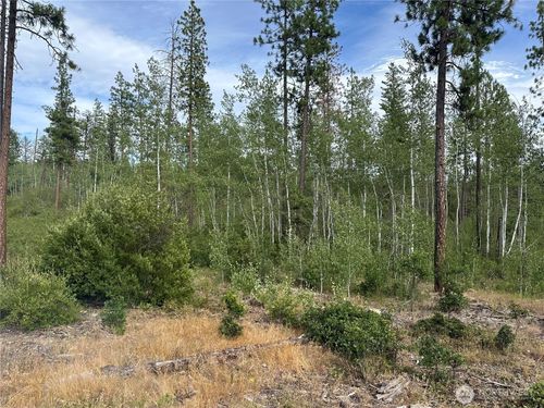 0 Lot 5 Greyback Mt Road, Goldendale, WA, 98620 | Card Image