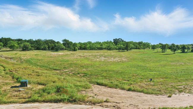 3036 Palermo Dr, Home with 0 bedrooms, 0 bathrooms and null parking in Brock TX | Image 10