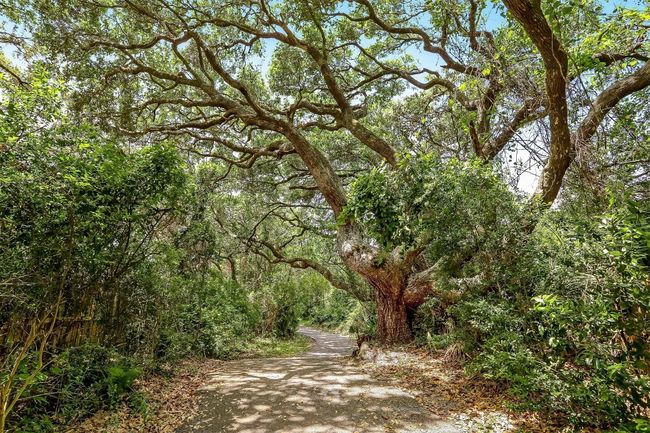 UNIT-1001 - 95177 Summerwoods Cir, Condo with 3 bedrooms, 4 bathrooms and null parking in Amelia Island FL | Image 64