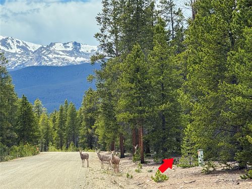 201 Snowshoe Rabbit Dr, Leadville, CO, 80461 | Card Image