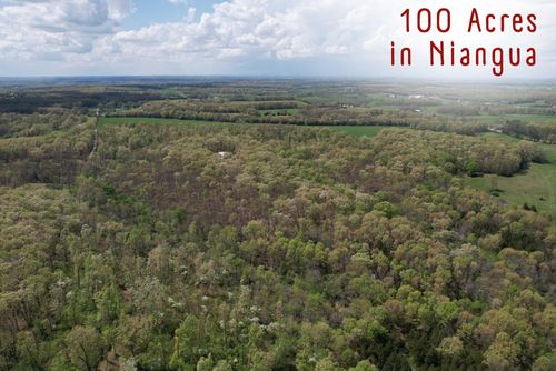 000 Victory Ln, Niangua, MO, 65713 | Card Image