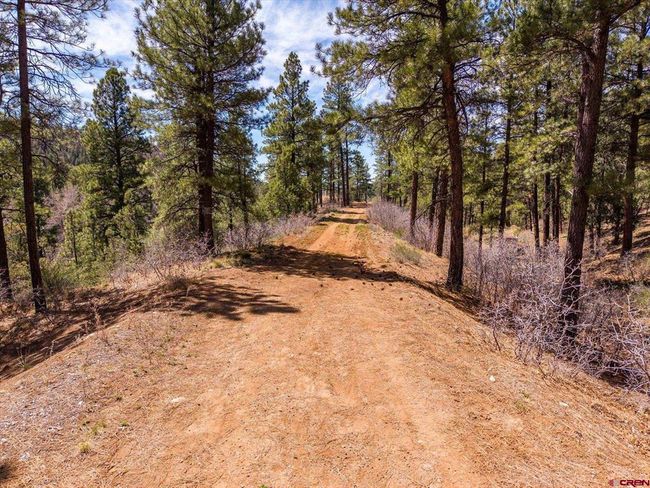 77 Culebra Cir, Home with 0 bedrooms, 0 bathrooms and null parking in Durango CO | Image 27