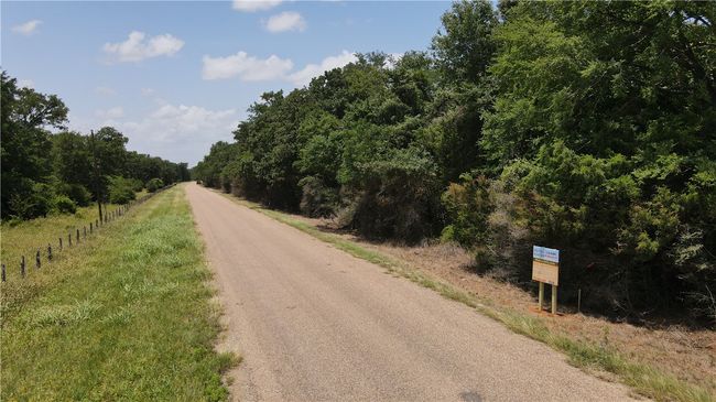 View of street with a view of trees | Image 10