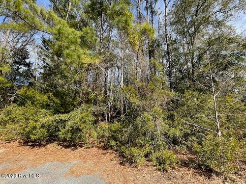 38 Lot Cedar Find Cv, Wilmington, NC, 28411 | Card Image