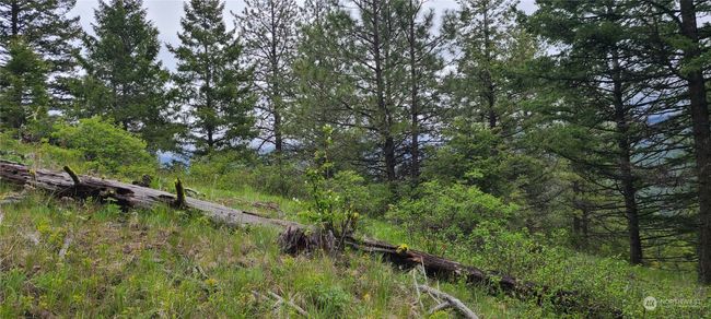 0 Lot 2 Old Kettle Falls Rd, Home with 0 bedrooms, 0 bathrooms and null parking in Republic WA | Image 6