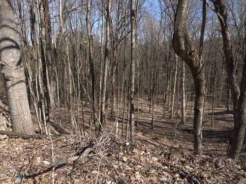 0 S Muskoka Dr, Bracebridge, ON, P1L1M4 | Card Image