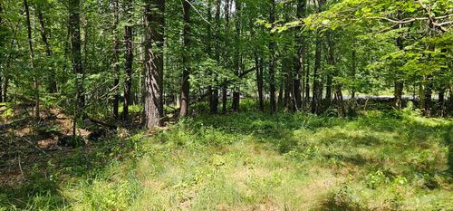 492 Moultonboro Neck Rd, Moultonborough, NH, 03254-4739 | Card Image