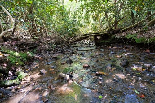 26.98 Ac Tusquittee Rd, Hayesville, NC, 28904 | Card Image