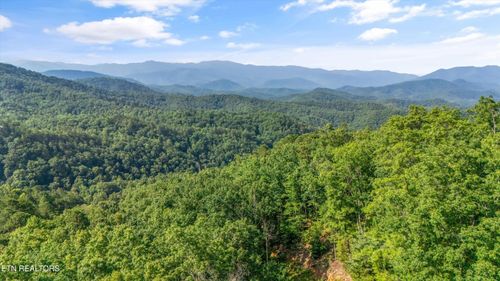1017 Big Buck Trce, Townsend, TN, 37882-3459 | Card Image