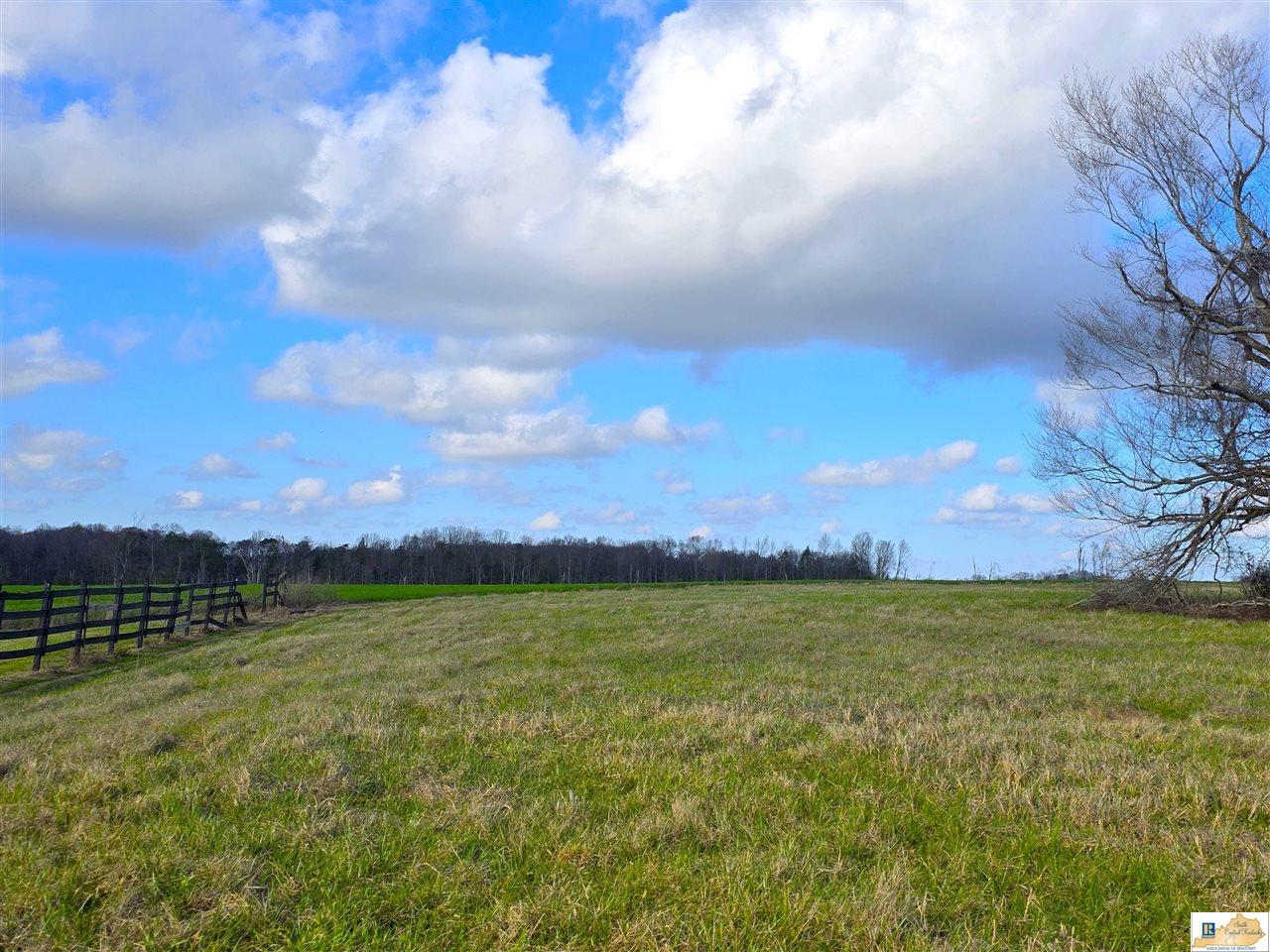 Land in Russell Springs 2