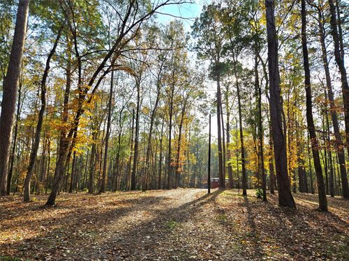 351 Dejardo Ln, Coldspring, TX, 77331-3532 | Card Image