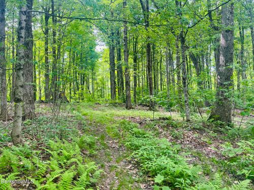Lot 0 Greylock Estates Rd, Lanesborough, MA, 01237 | Card Image
