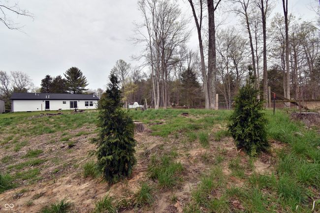 view of yard | Image 46