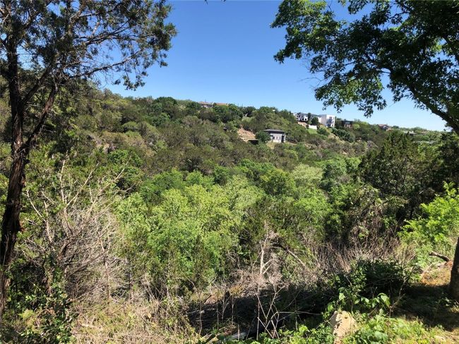 View of landscape with a wooded view | Image 7