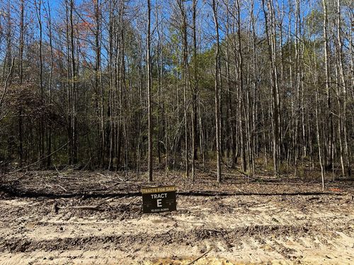 437 Private Road 8507, Van, TX, 75790 | Card Image