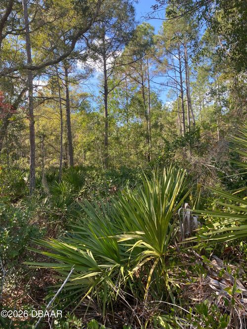820 Old Bubbly Rd, PIERSON, FL, 32180-4212 | Card Image