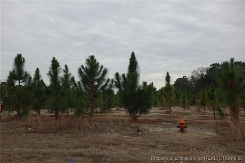 32 Stuarts Mill Rd, Fairmont, NC, 28340 | Card Image