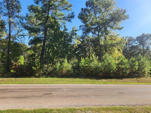 T.B.D. Hidden Oaks Dr, Pointblank, TX, 77364 | Card Image