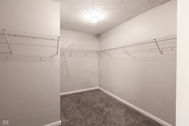 spacious closet featuring carpet flooring | Image 17