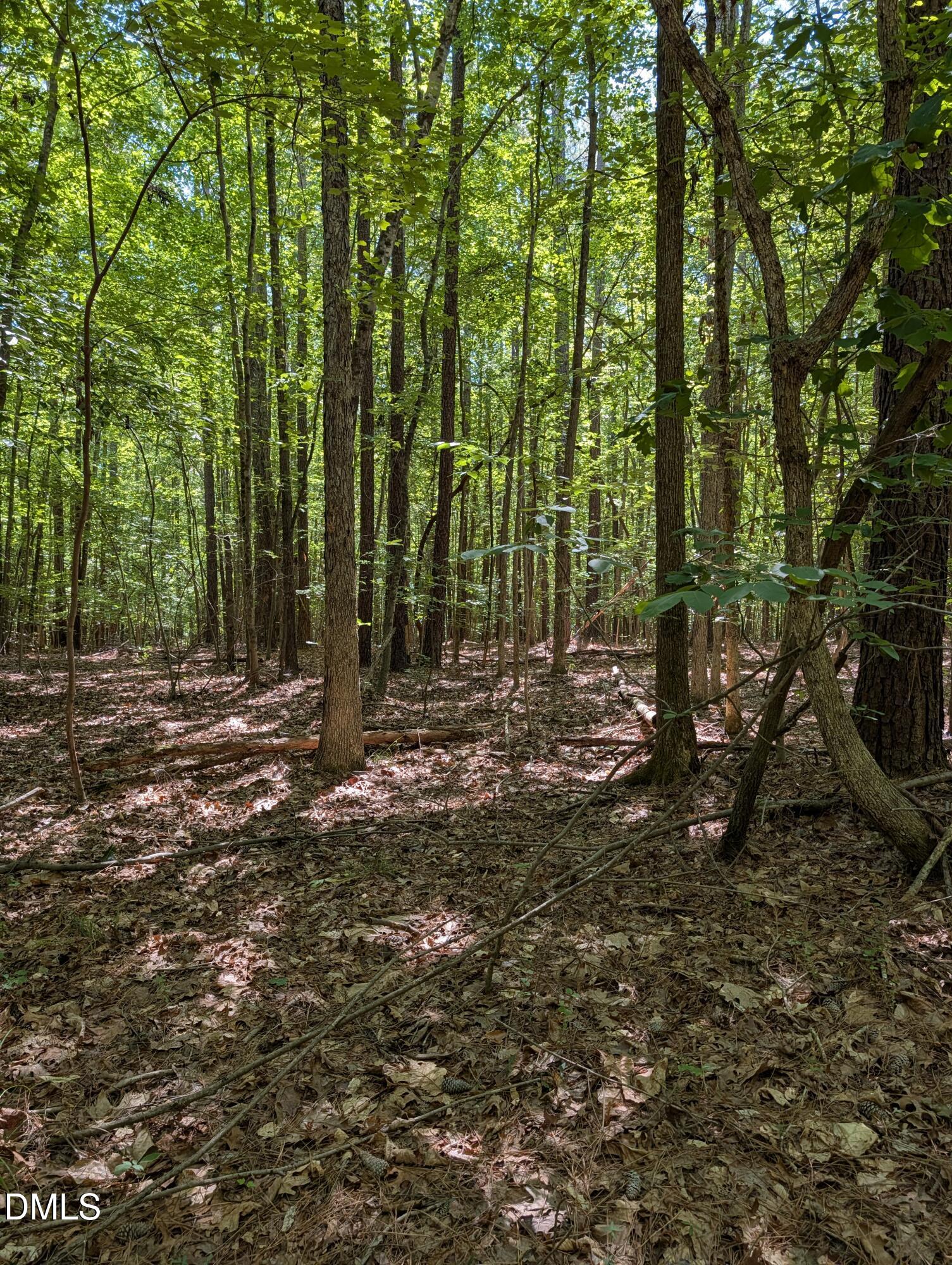 Land in Roanoke Rapids 5