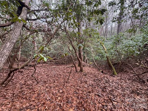 000 Falls Creek Ct, Pisgah Forest, NC, 28768 | Card Image