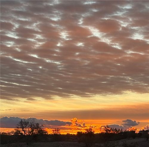 1004/1008/1009 Stage Coach Trails, Yucca, AZ, 86438 | Card Image