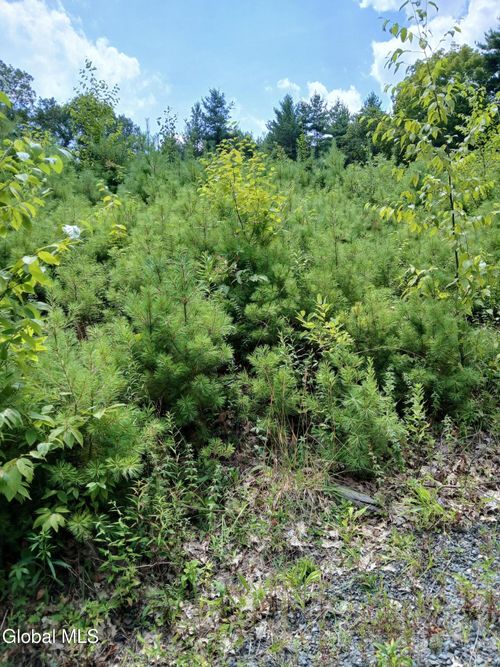 2468 Indian Fields Road, New Scotland, NY, 12067 | Card Image