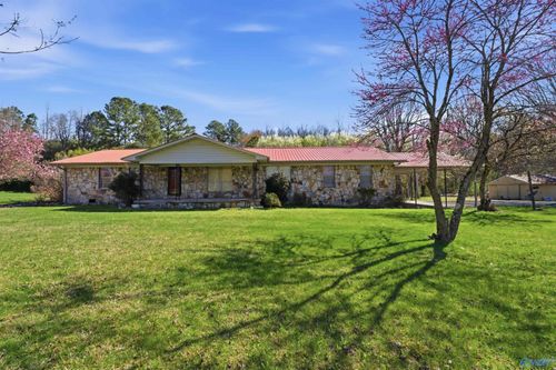 132 County Road 58, Pisgah, AL, 35765 | Card Image