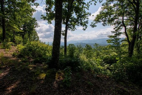 850 Bluff Rd, Marble, NC, 28905-8515 | Card Image