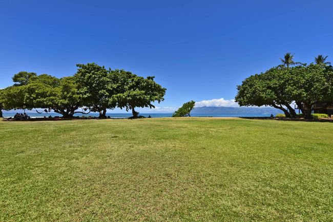 APT-110 - 3691 Lower Honoapiilani Rd, Condo with 1 bedrooms, 1 bathrooms and null parking in Lahaina HI | Image 43