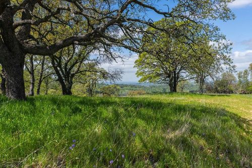 10859 State Highway 88, Jackson, CA, 95642-9414 | Card Image