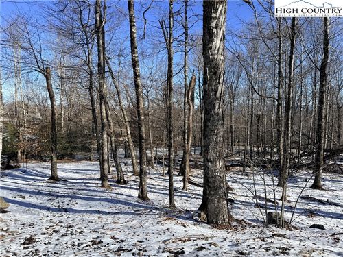 102 Northridge Rd, Beech Mountain, NC, 28604-8138 | Card Image