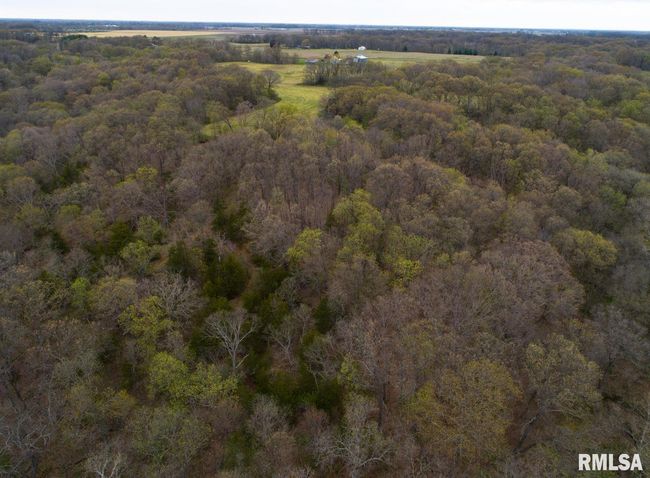 0 N Chambers Rd, Home with 0 bedrooms, 0 bathrooms and null parking in Smithfield IL | Image 41