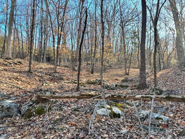 View of landscape with a forest view | Image 10