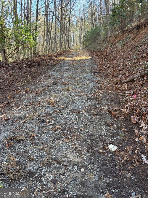 0 Amaryllis Ln, Tiger, GA, 30576 | Card Image