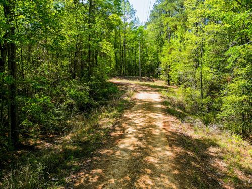 15+/- Acre Rockhill Rd, Purvis, MS, 39475 | Card Image
