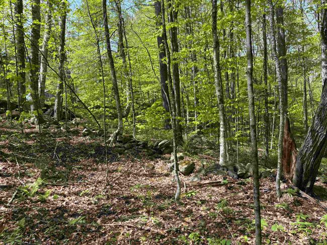 0 Snell Rd, Home with 0 bedrooms, 0 bathrooms and null parking in Chester VT | Image 14