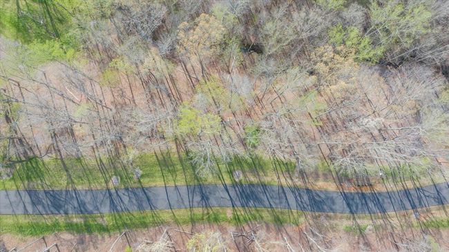 008-DJI_20240413094613_0006_D_MIB | Image 38