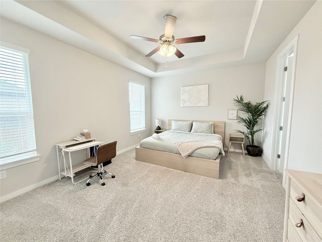 Carpeted bedroom featuring baseboards, multiple windows, and a tray ceiling | Image 18